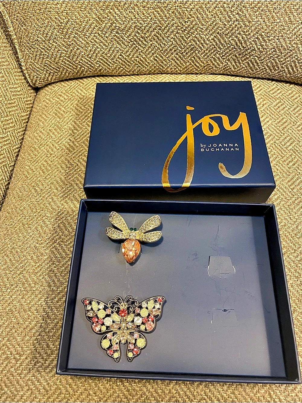 Joanna Buchanan Bee and Butterfly Brooch Set Bee & Butterfly Clip on Brooch Set